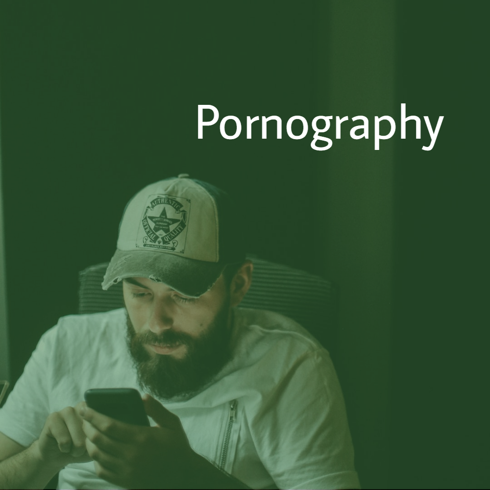 Pornography Article Image