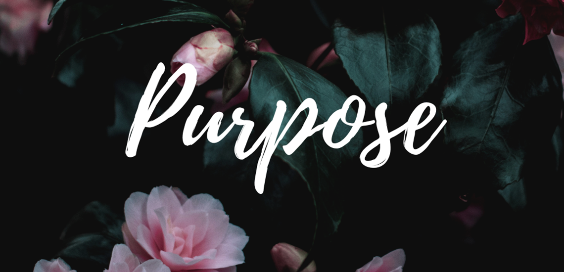 Purpose Article Recovery Addiction Life God